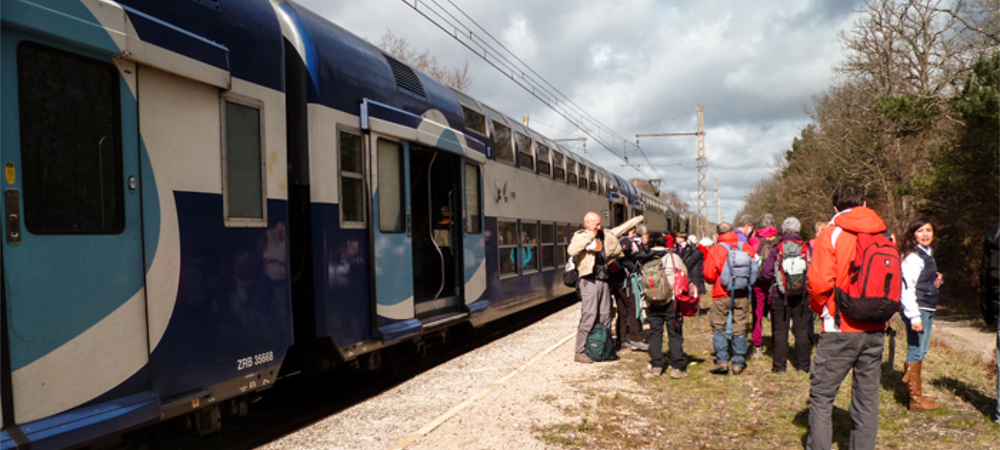 Le forêt express va partir