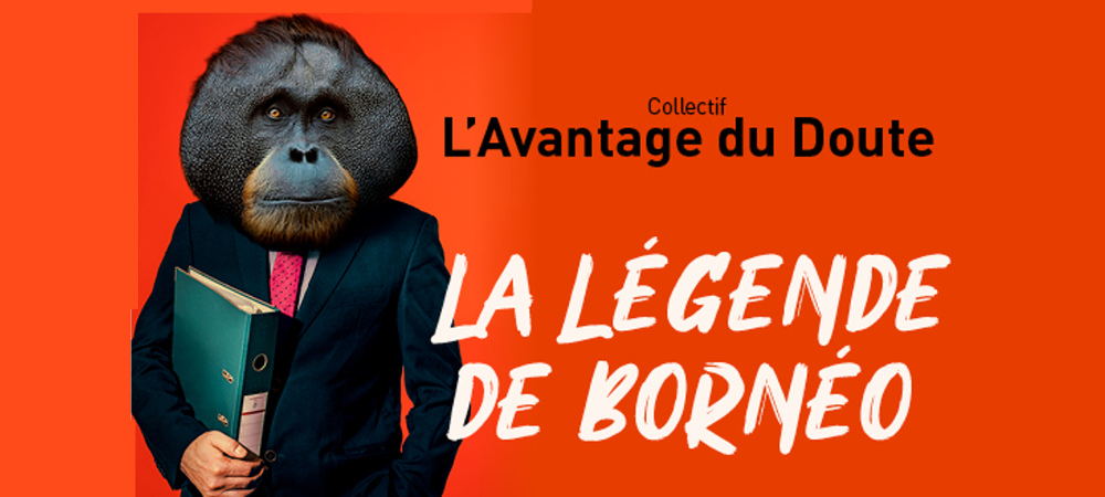 Le secret des orangs-outans