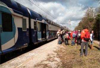 Le forêt express va partir