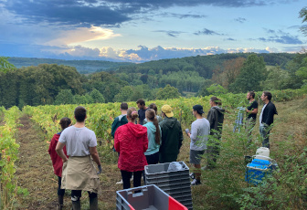 Tout plaquer pour les vendanges