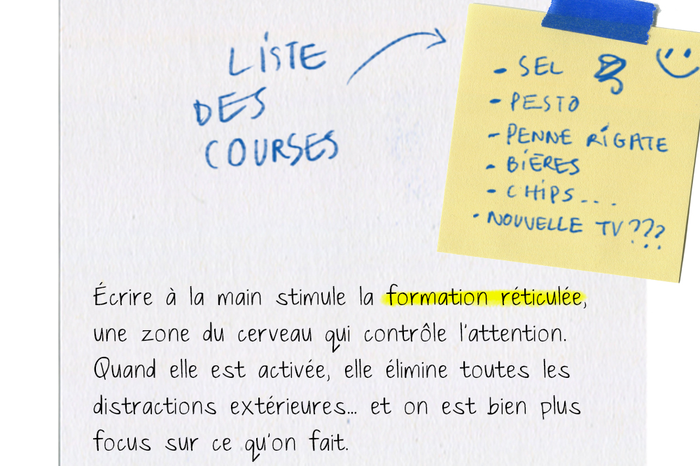 La formation réticulée