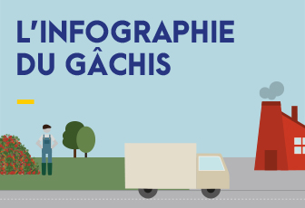 L'infographie du Gâchis